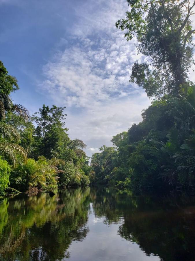 Hotel Casa THIREMA Tortuguero Exterior foto
